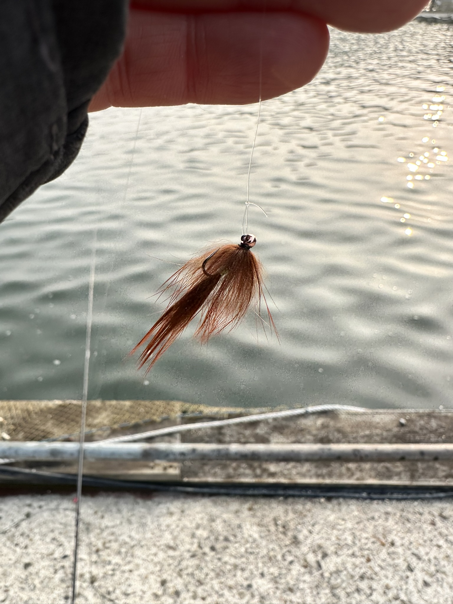 Fly Pattern 01